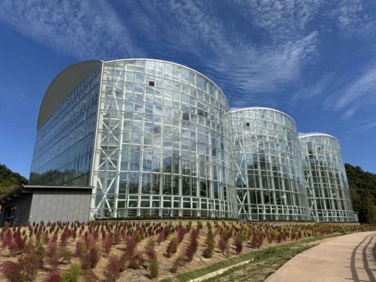 [광주] 광주시립수목원