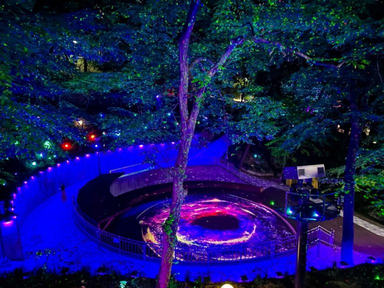 [광주] 사직 빛의 숲