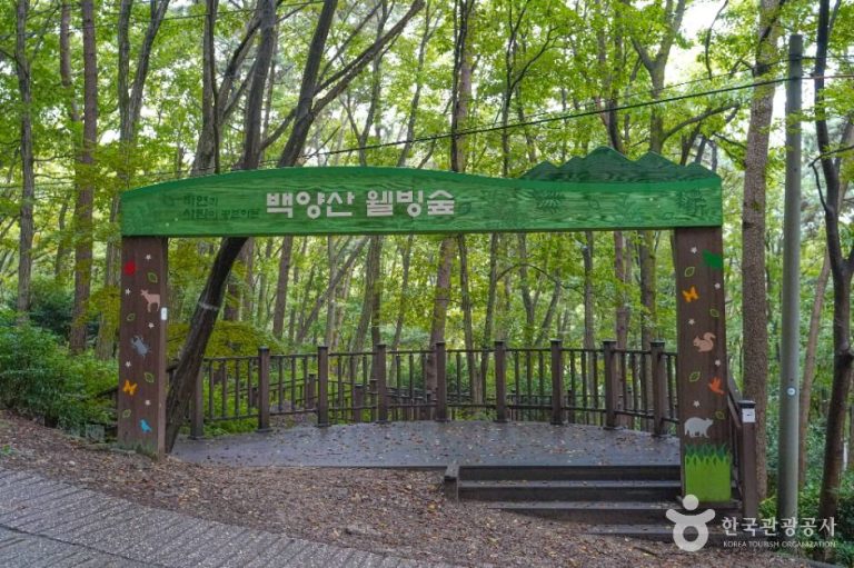 [부산] 백양산 웰빙숲