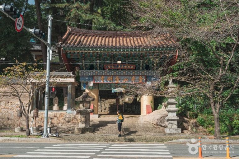 [부산] 금강사(부산)