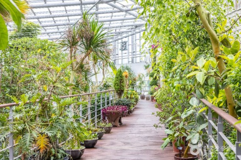 [부산] 화명수목원