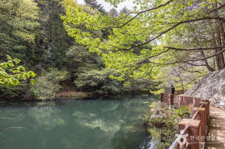 [부산] 성지곡수원지