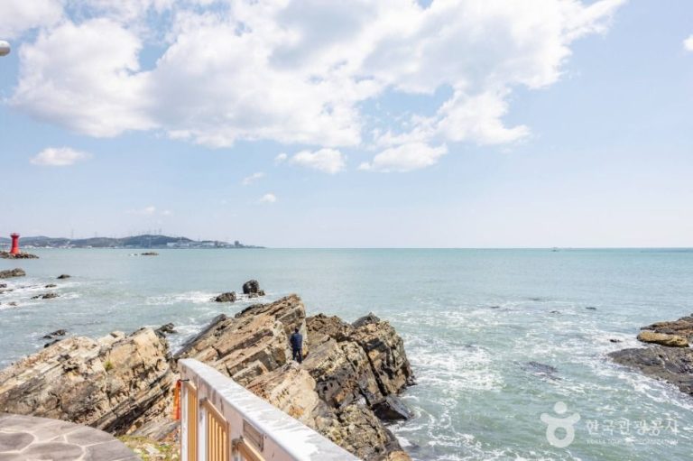 [부산] 신평소공원