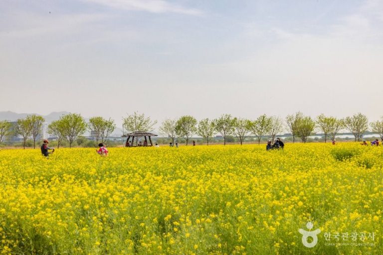 [부산] 대저생태공원