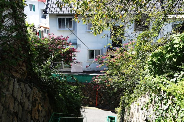 [부산] 개금벚꽃길