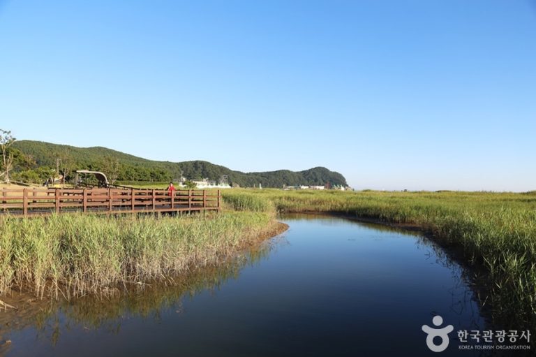 [부산] 다대포생태탐방로