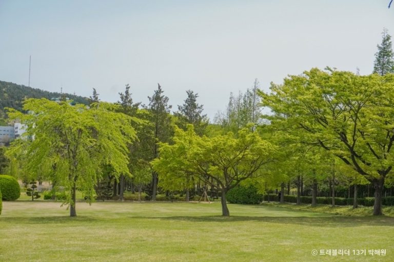 [부산] 대연수목전시원