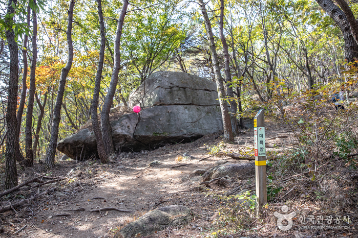 [부산] 미륵사(부산)