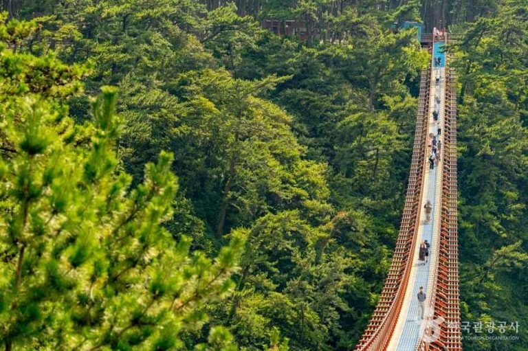 [울산] 대왕암공원 출렁다리