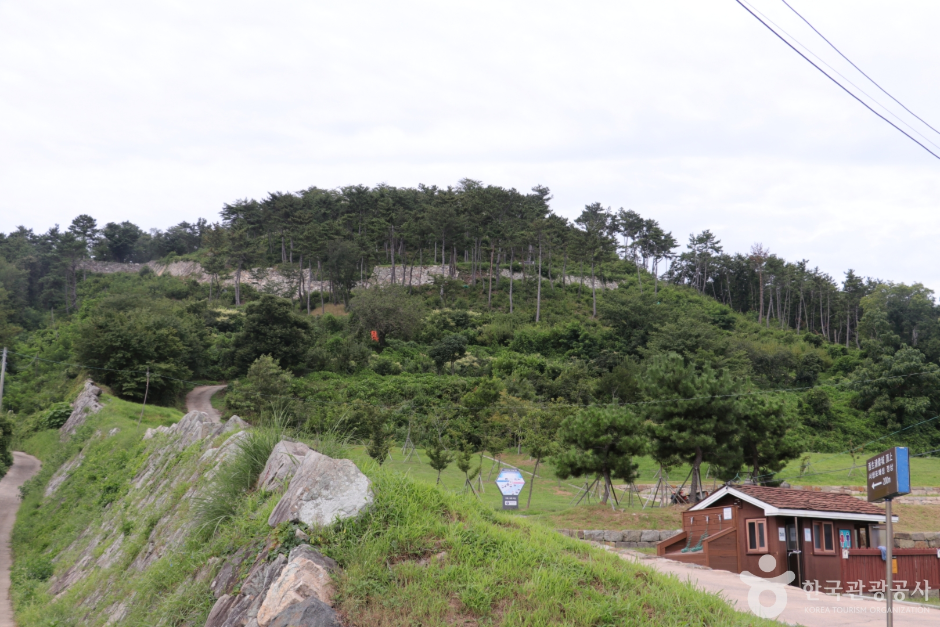 [울산] 서생포왜성