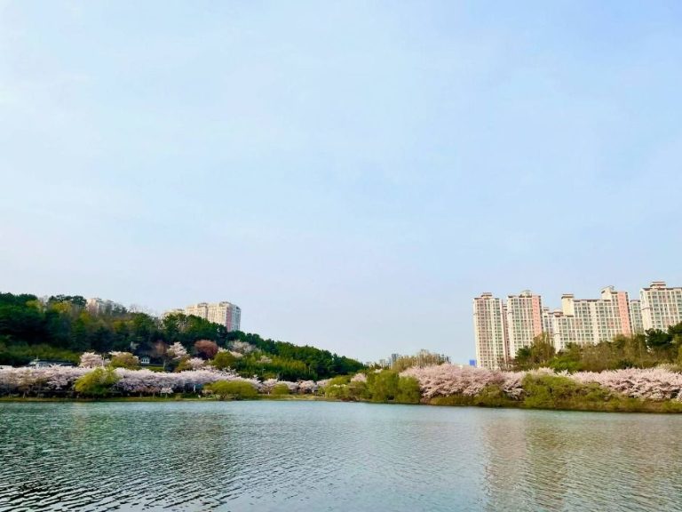 [울산] 선암호수공원