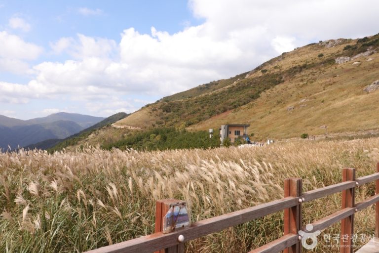 [울산] 울산 12경