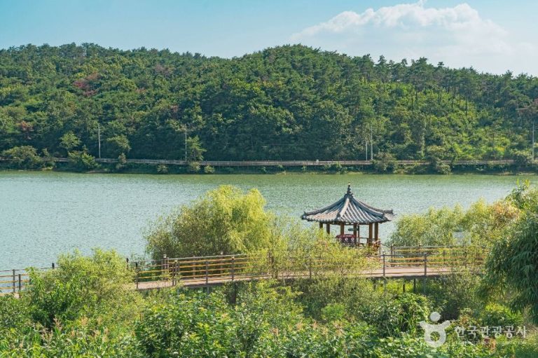 [울산] 마근저수지