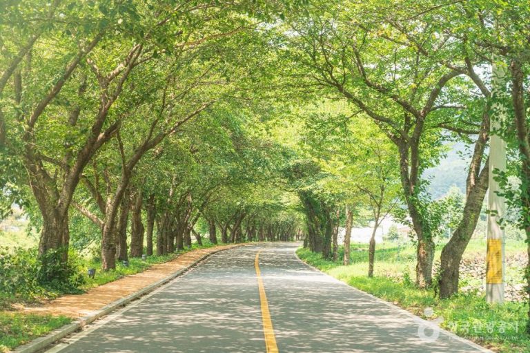 [울산] 차리마을