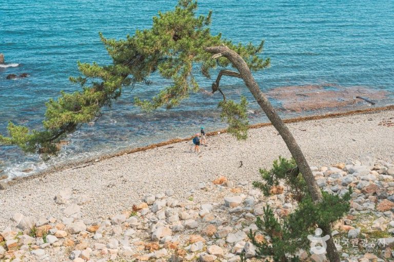 [울산] 과개안(너븐개) 해안