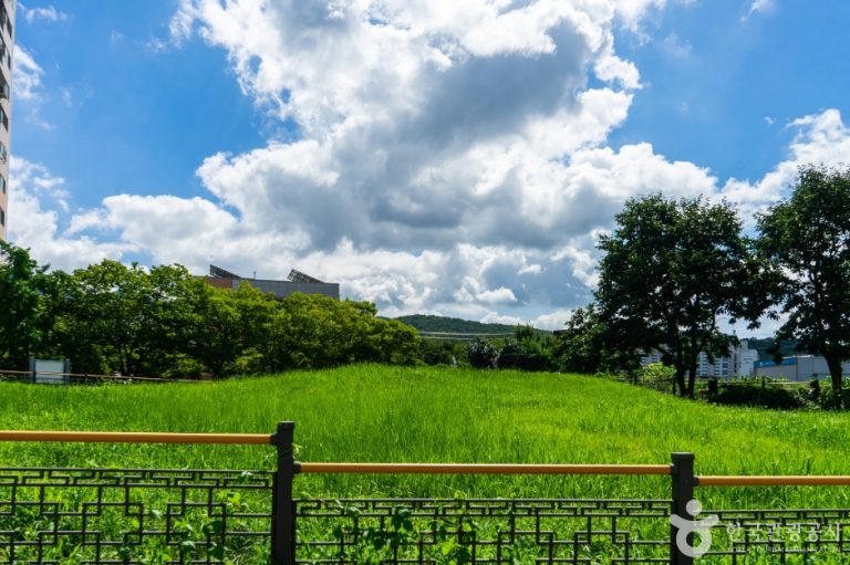 [울산] 중산동 고분군