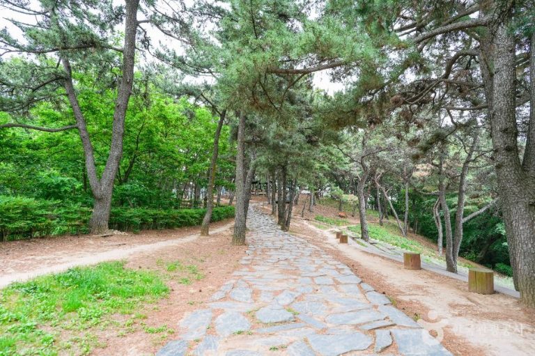 [울산] 장무공원