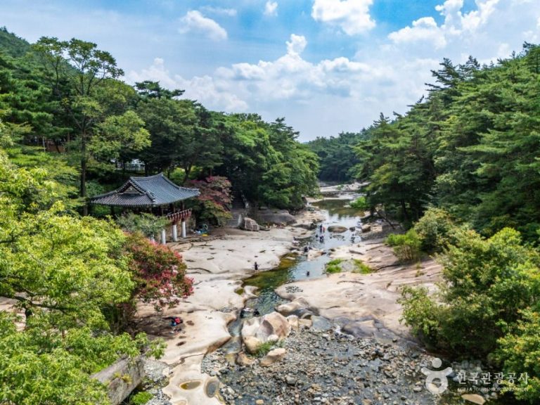 [울산] 작천정 계곡