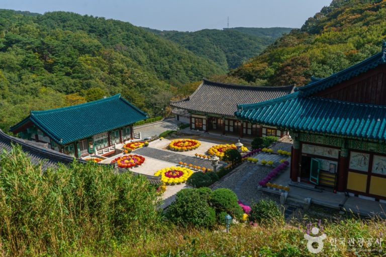 [울산] 신흥사(울산)