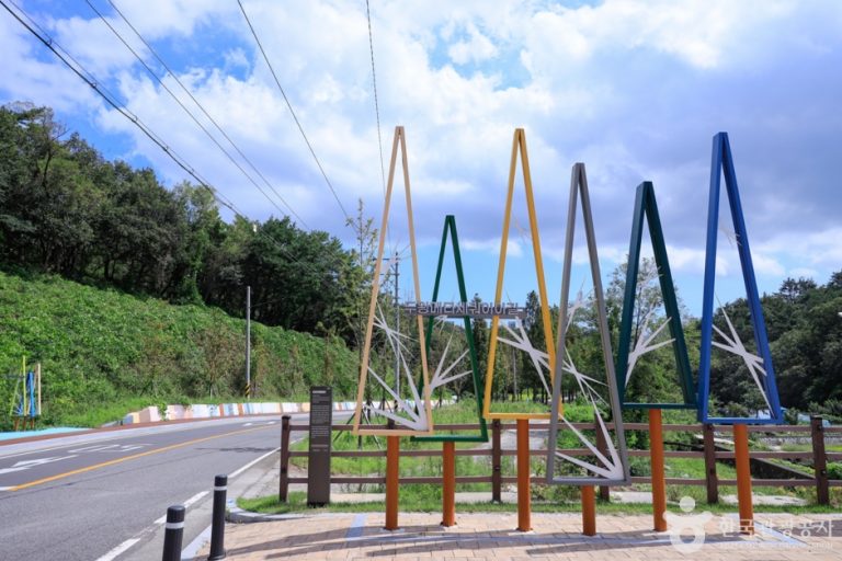 [울산] 두왕 메타세쿼이아길