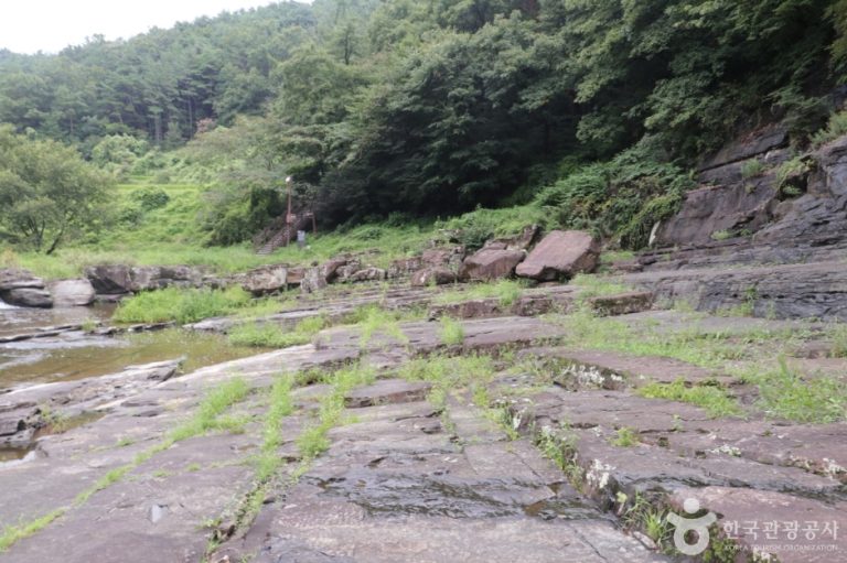 [울산] 천전리공룡발자국화석