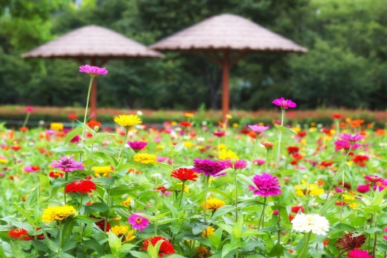 [울산] 태화강국가정원 삼호지구