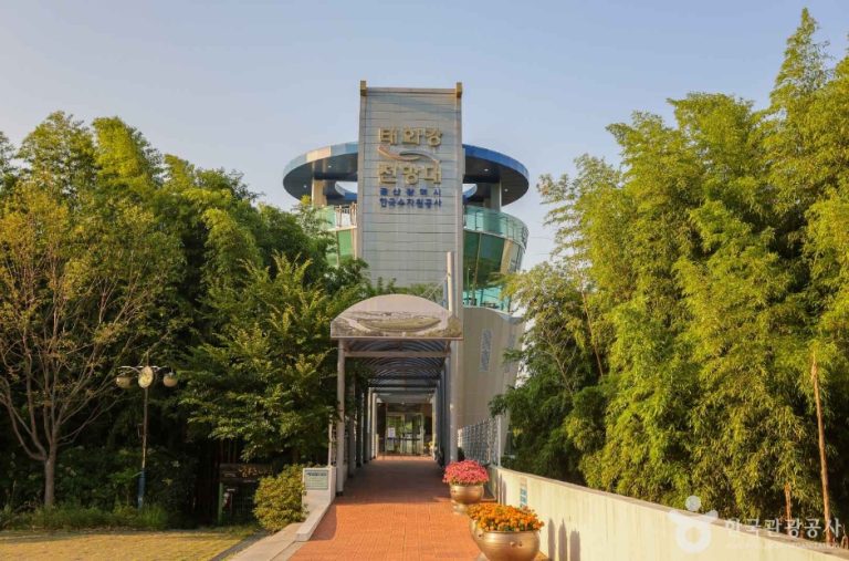 [울산] 태화강 전망대