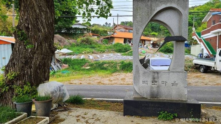 [세종] 금남 백로 서식지