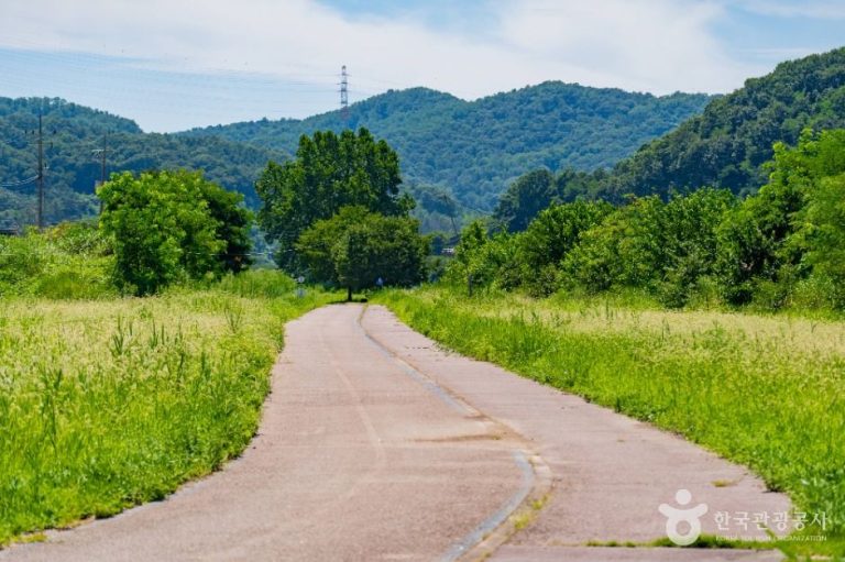 [세종] 부용체육공원