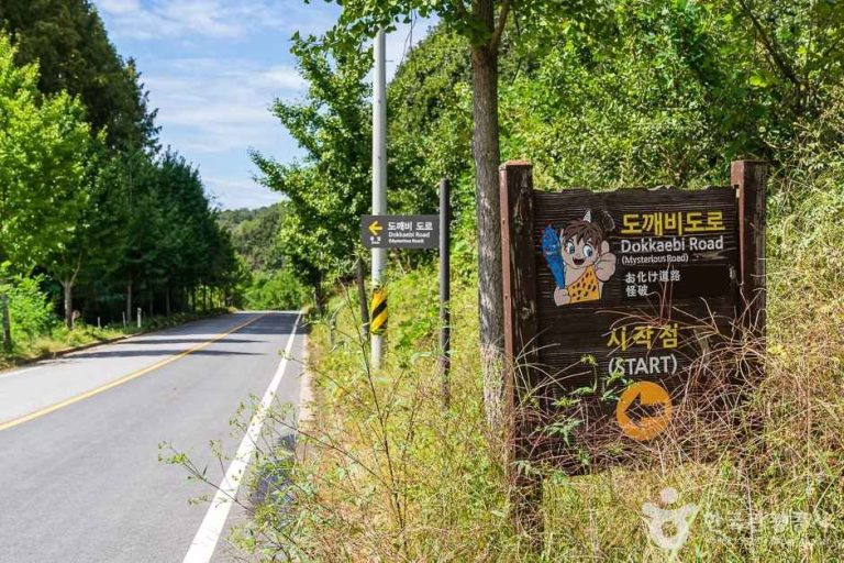 [세종] 비암사 도깨비도로