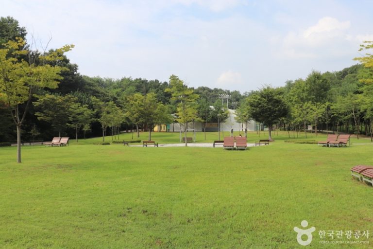 [세종] 오가낭뜰근린공원