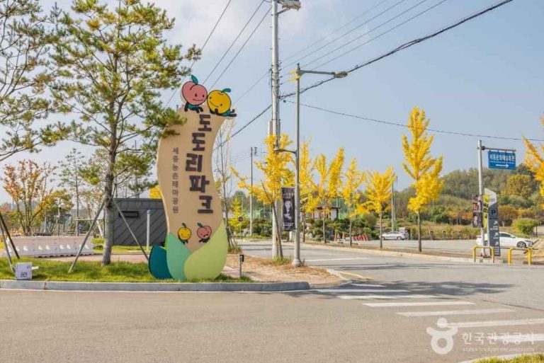 [세종] 농촌테마공원 도도리파크