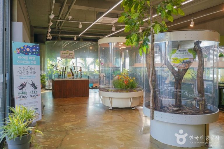 [경기] 용인 곤충테마파크