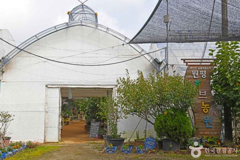 [경기] 원평허브농원