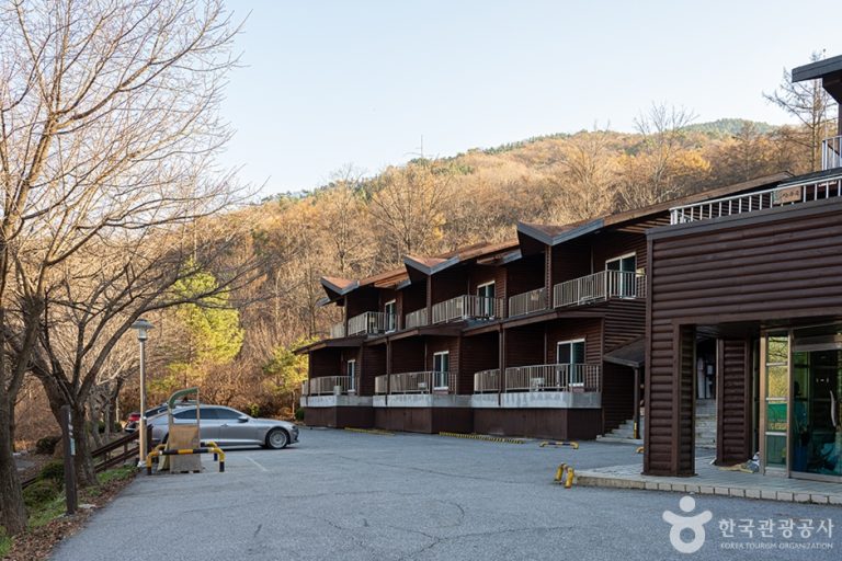 [경기] 국립 유명산자연휴양림