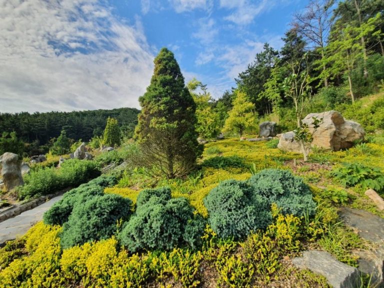 [경기] 바다향기수목원