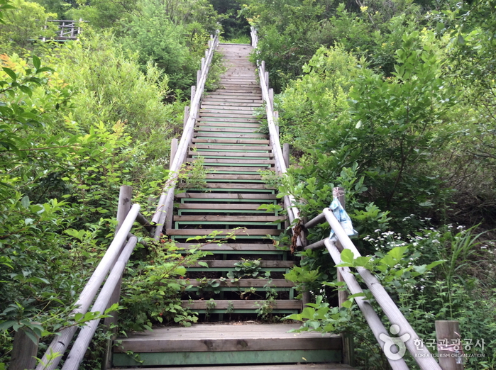 [경기] 소구니산