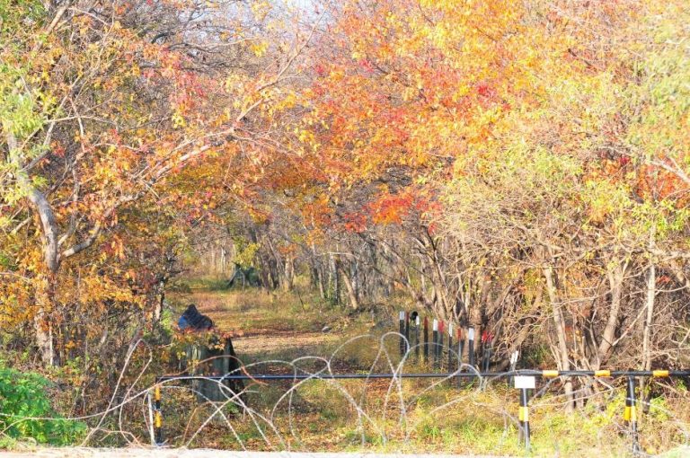 [경기] 파주 DMZ 생태연구소