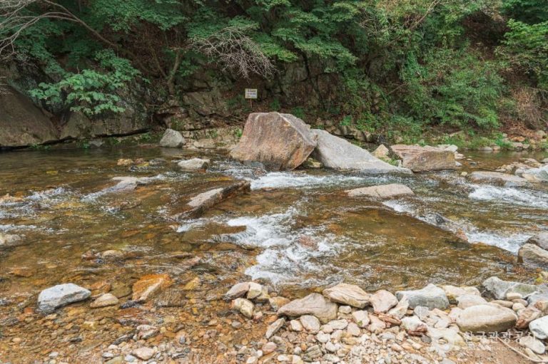 [경기] 왕방계곡