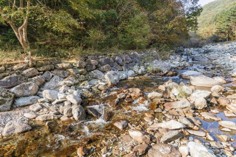 [경기] 명지계곡