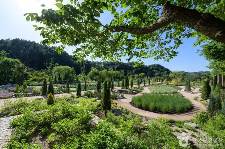 [경기] 더스테이힐링파크