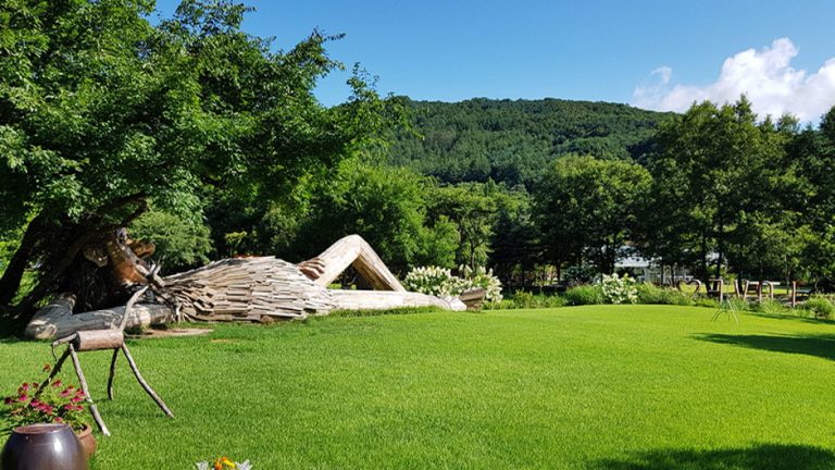 [경기] 마이애니멀스토리 in 평강랜드