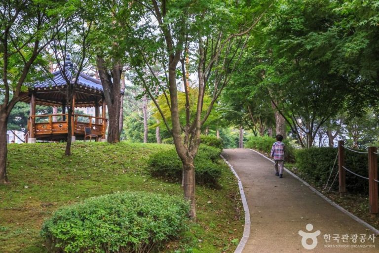 [경기] 솔밭공원(안성)