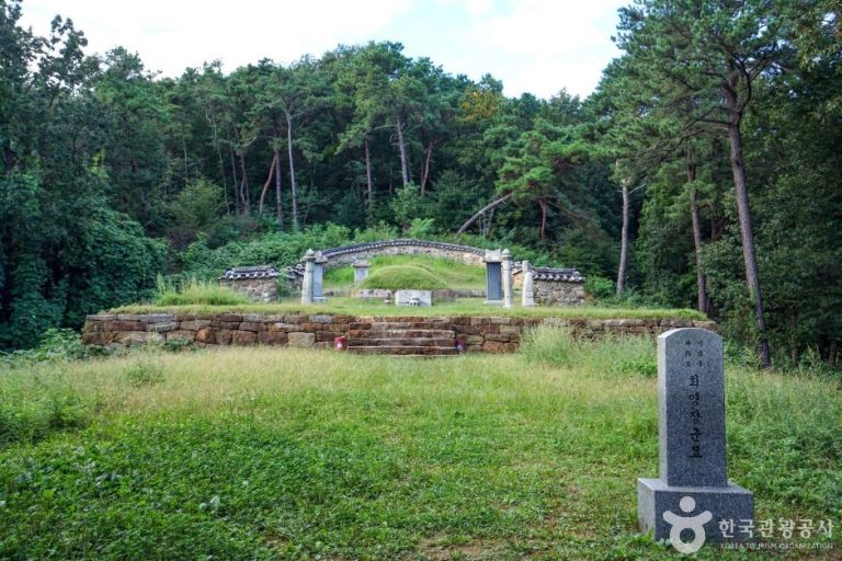 [경기] 최영장군묘