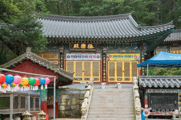 [경기] 천은정사