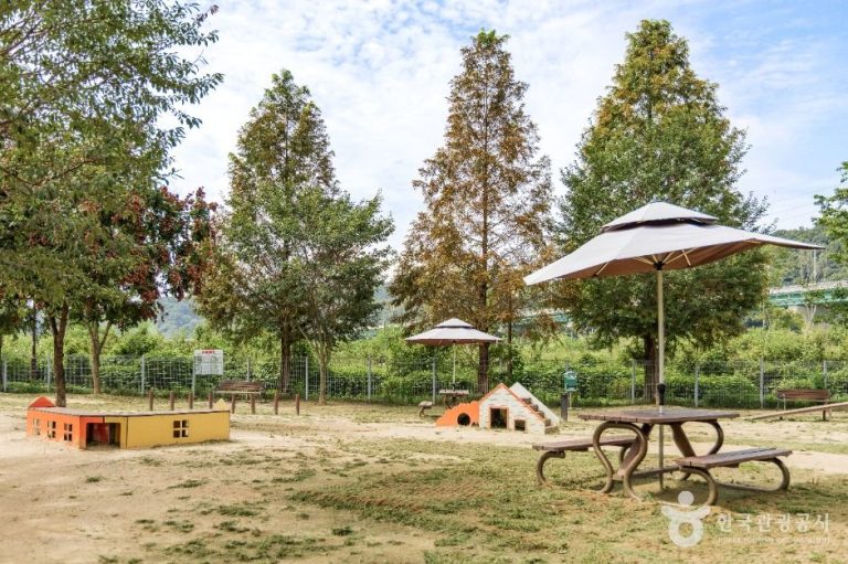 [경기] 기흥레스피아호수공원 반려동물놀이터
