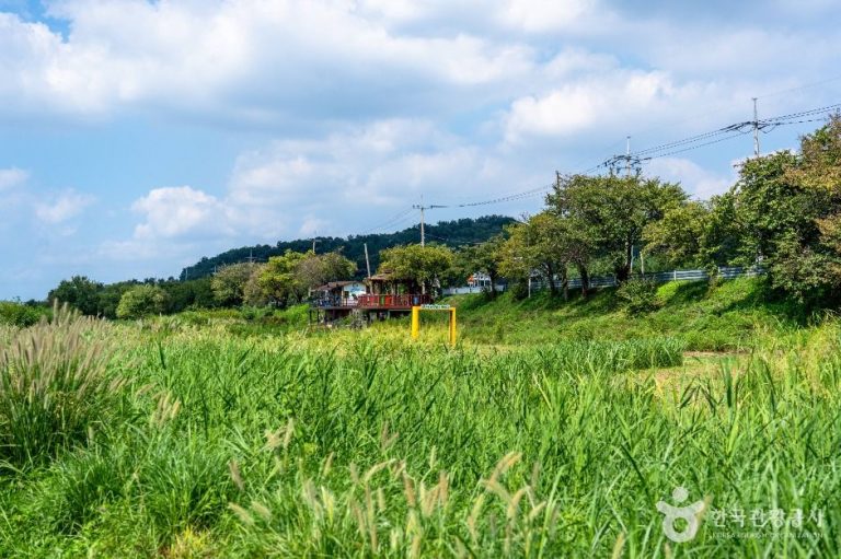 [경기] 탄천민물고기습지생태원
