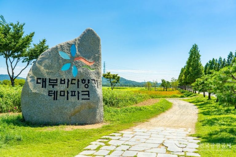 [경기] 대부바다향기테마파크
