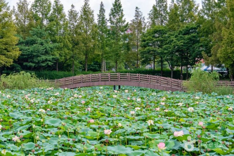 [경기] 봉담호수공원
