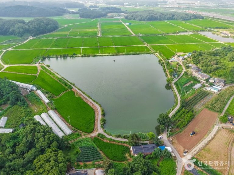 [경기] 분지섬저수지